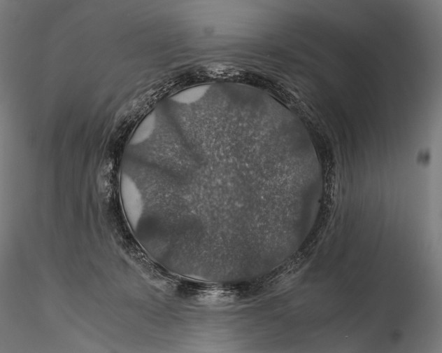 X0000116000319200912101324