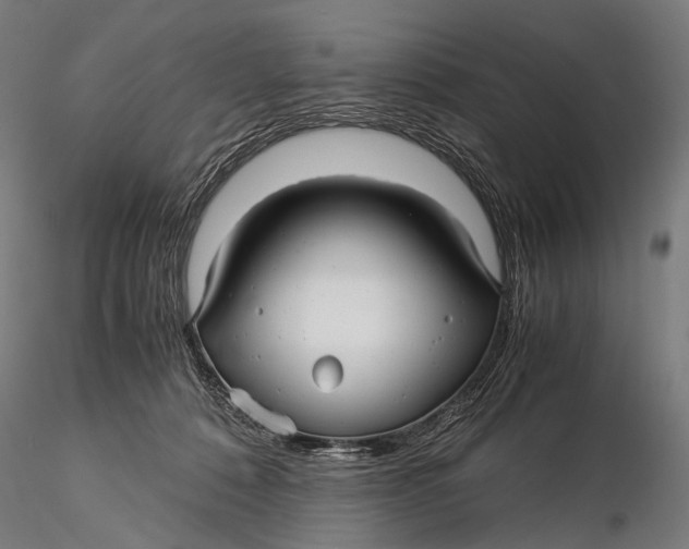 X0000116000320200912101324