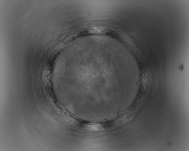 X0000116000322200912101324