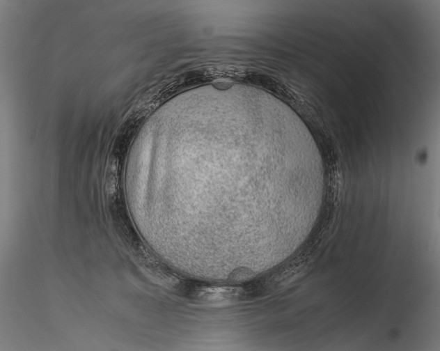 X0000116000323200912101324