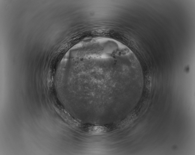 X0000116000324200912101324