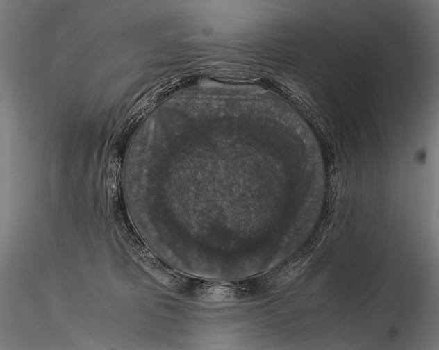 X0000116000325200912101324