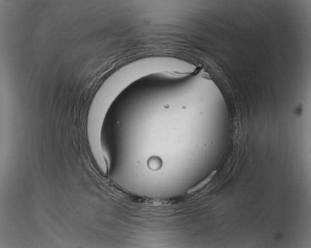 X0000116000329200912101323