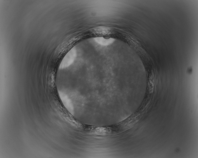 X0000116000330200912101323