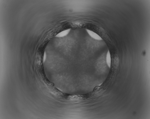 X0000116000331200912101323