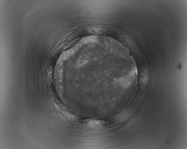 X0000116000332200912101323