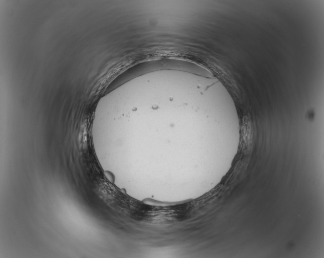 X0000116000333200912101323