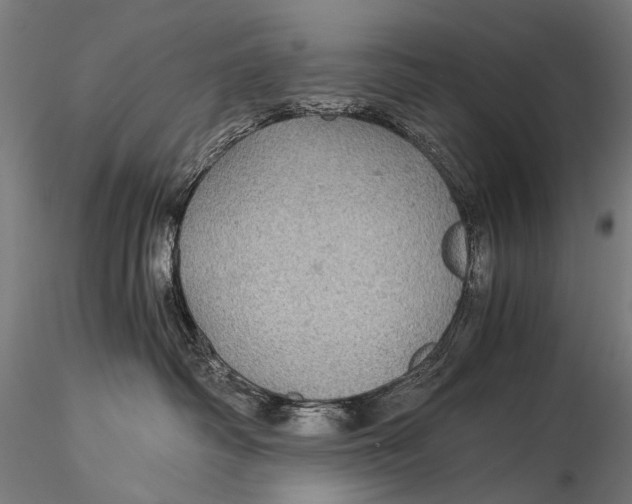 X0000116000334200912101323