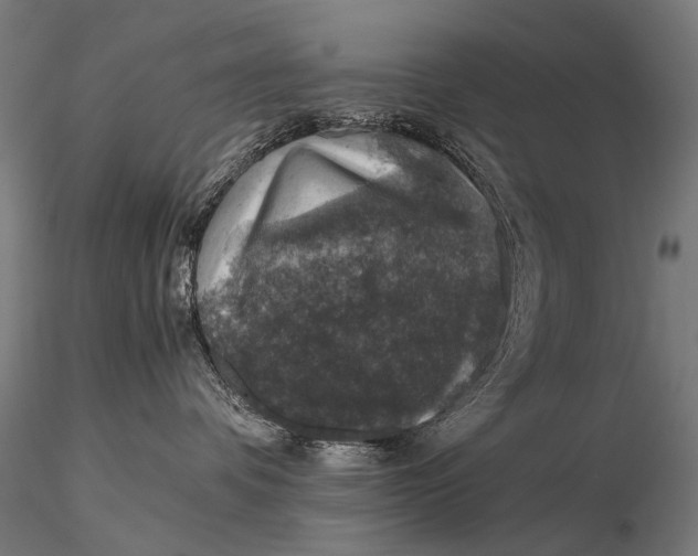 X0000116000336200912101323