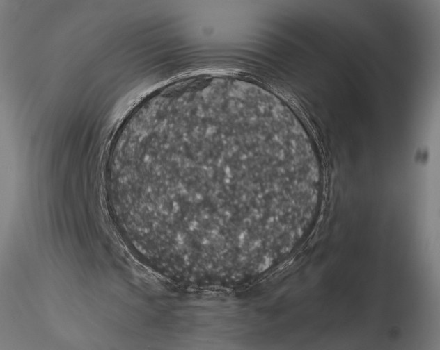 X0000116000337200912101323