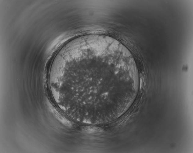 X0000116000339200912101323