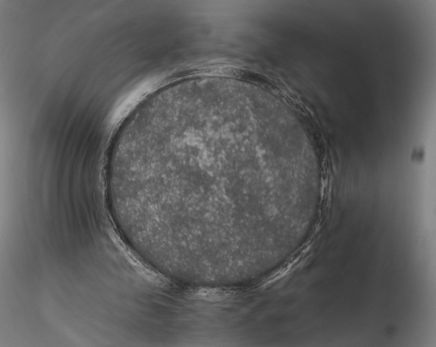 X0000116000341200912101323