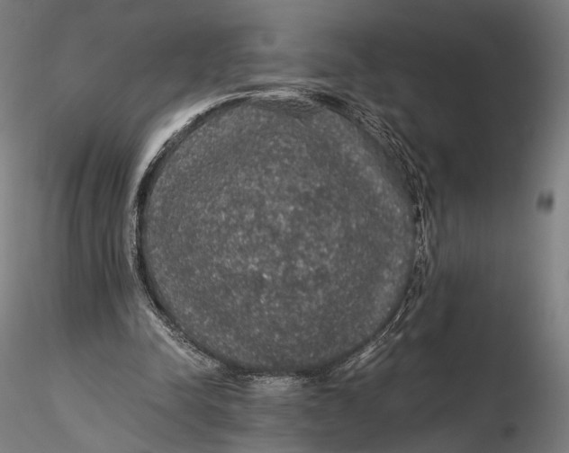 X0000116000342200912101323