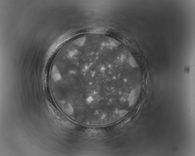 X0000116000343200912101323