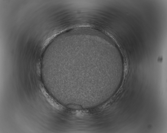 X0000116000345200912101323