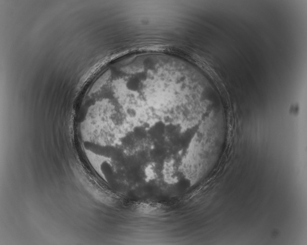 X0000116000346200912101323