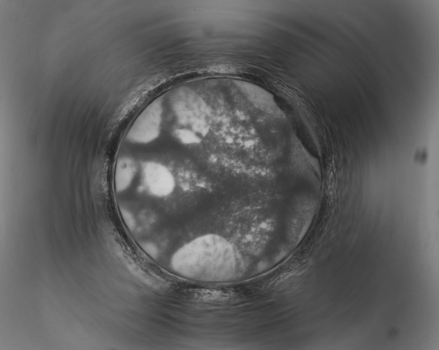 X0000116000347200912101323