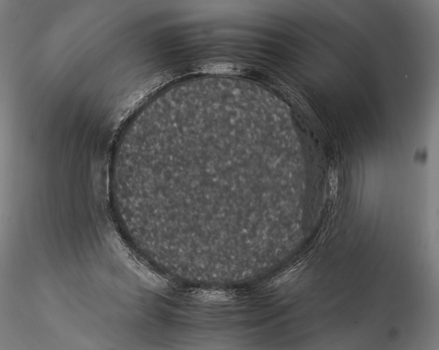 X0000116000349200912101323