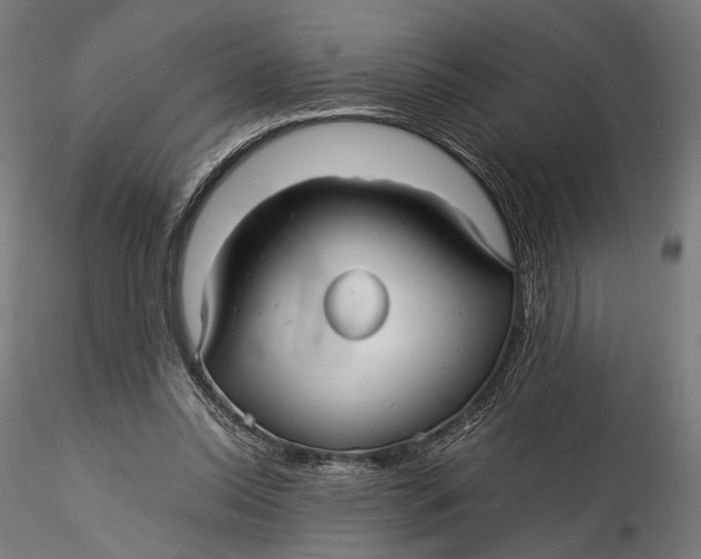 X0000116000350200912101323