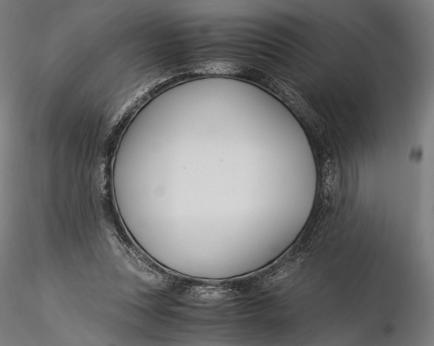 X0000116000351200912101323