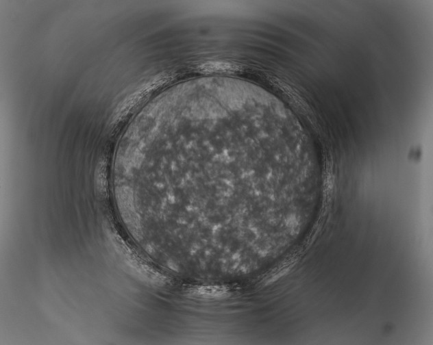 X0000116000353200912101323