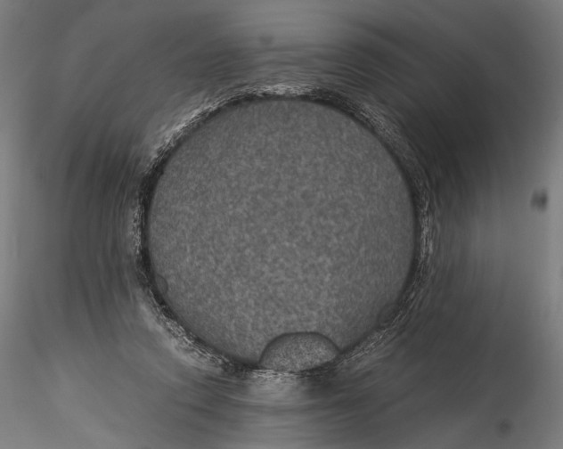 X0000116000354200912101323