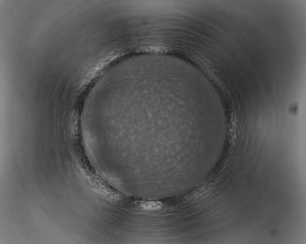 X0000116000355200912101323