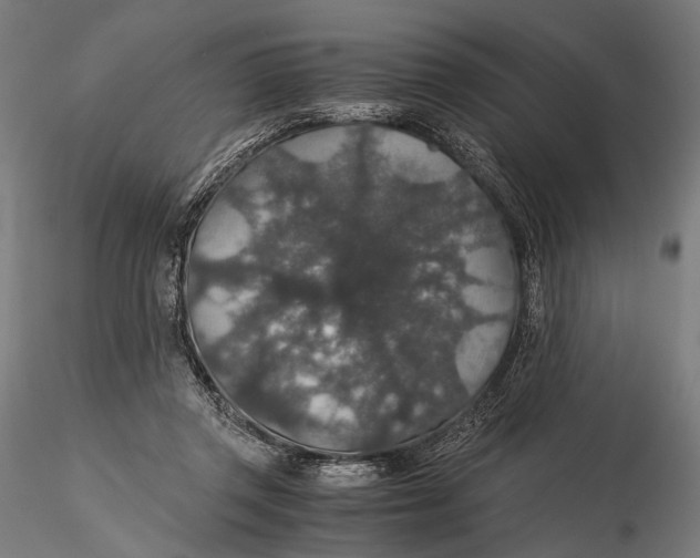 X0000116000357200912101323