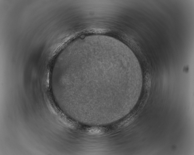 X0000116000358200912101323