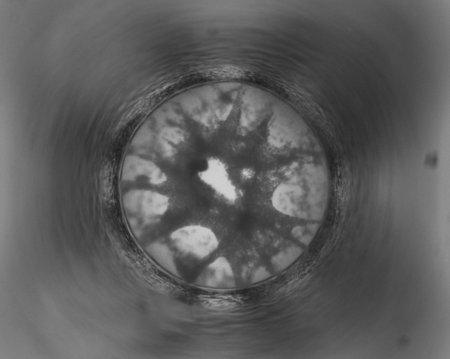 X0000116000359200912101323