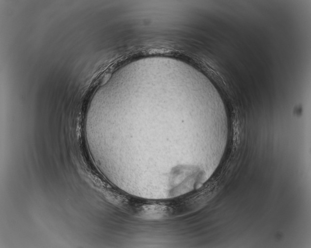 X0000116000362200912101323