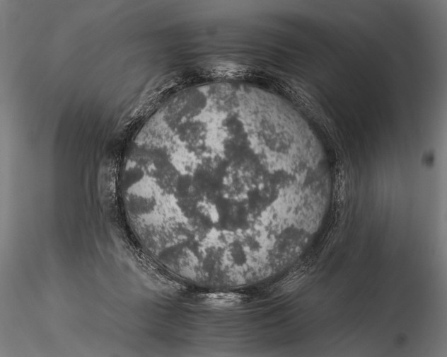 X0000116000363200912101323