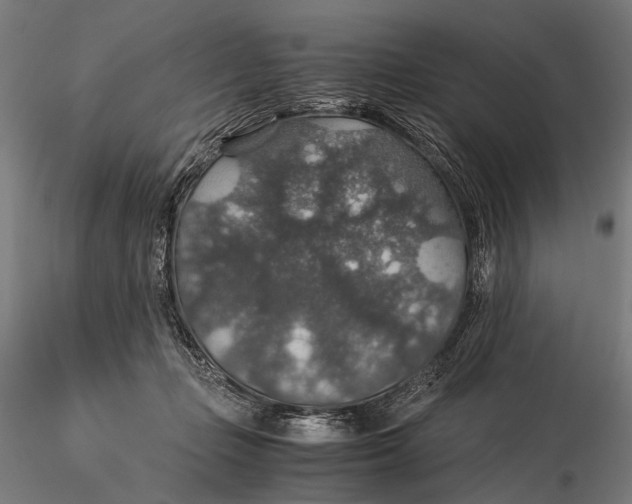 X0000116000365200912101323