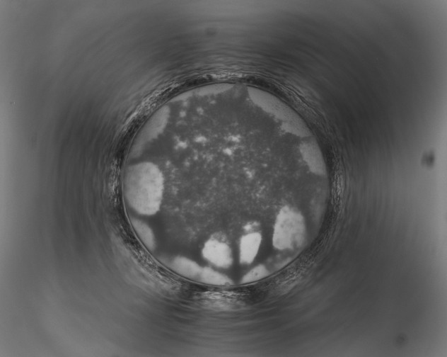 X0000116000367200912101323