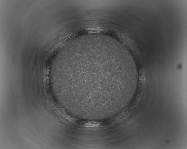 X0000116000369200912101323