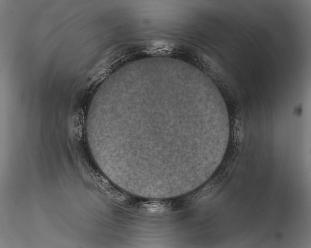 X0000116000370200912101323