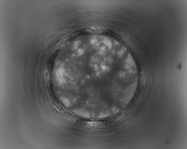 X0000116000371200912101323