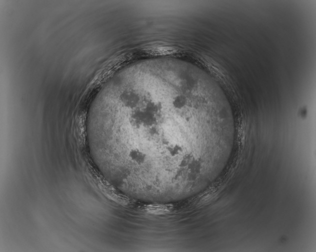 X0000116000373200912101323