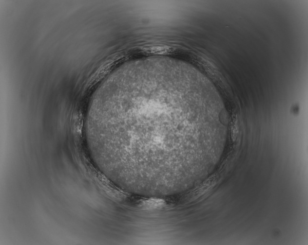 X0000116000374200912101323