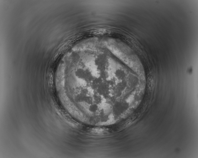 X0000116000375200912101323