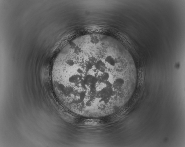 X0000116000377200912101323