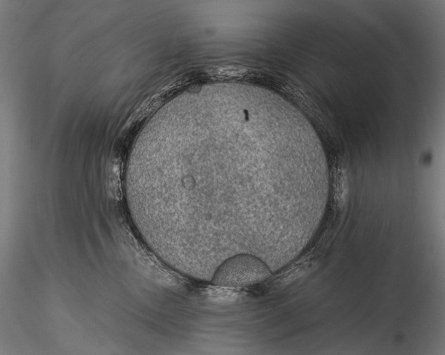 X0000116000378200912101323