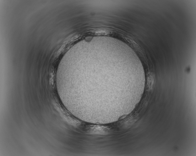 X0000116000379200912101323