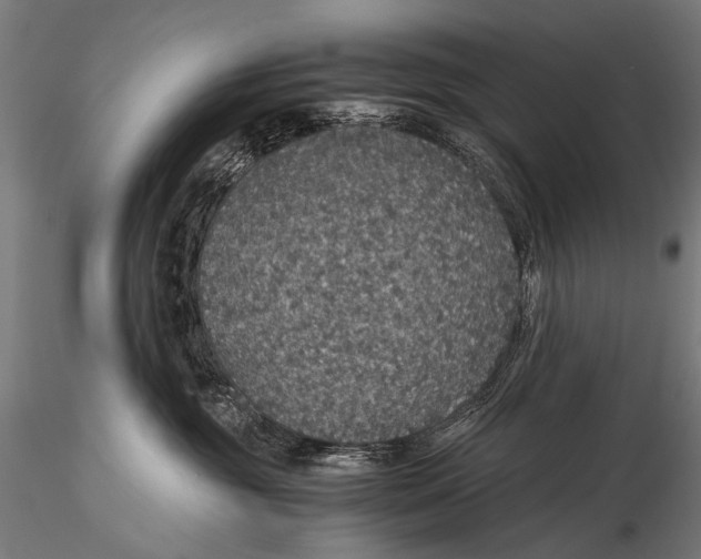 X0000116000381200912101323