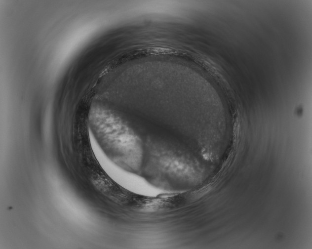 X0000116000382200912101323