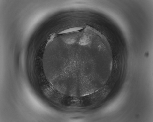 X0000116000383200912101323