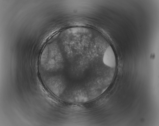 X0000116000386200912101323