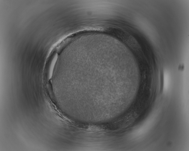 X0000116000388200912101323