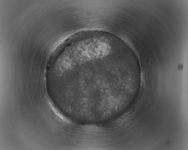 X0000116000389200912101323