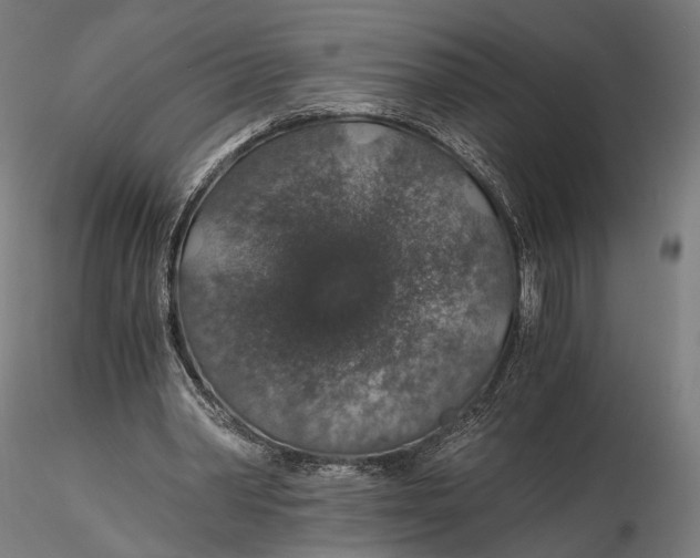 X0000116000390200912101323